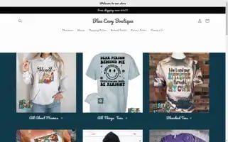 Blueenvyboutique.com Screenshot 2024-04-15 01:23:26