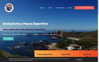 Pipilastours.com Screenshot 2024-04-16 11:20:16