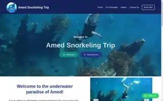 Amedsnorkelingtrip.com Screenshot 2024-04-14 13:29:34