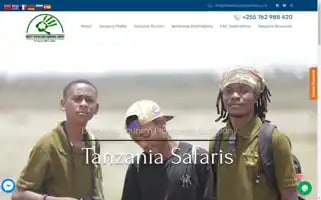 Domestictourismsafaris.co.tz Screenshot 2024-04-16 04:03:26