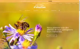 Merveillesdabeilles.biz Screenshot 2024-06-11 09:42:11