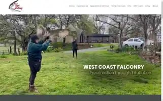 Westcoast-falconry.com Screenshot 2024-05-16 23:52:06
