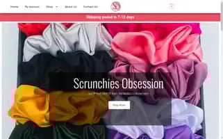 Scrunchiesobsession.com Screenshot 2024-05-20 23:45:37
