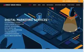 Smallcompany.website Screenshot 2024-06-13 08:21:31