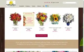 Daffodillysflowers.com Screenshot 2024-05-15 19:09:43