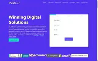 Webzool.io Screenshot 2024-05-15 01:02:22