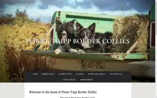 Powertripp.org Screenshot 2024-04-18 10:57:35