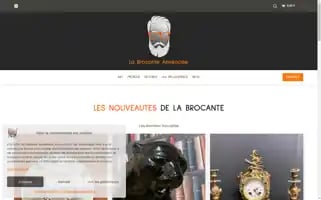 Labrocanteamienoise.fr Screenshot 2024-05-20 16:25:42