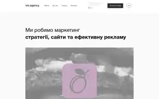 Vio.agency Screenshot 2024-06-17 13:38:38