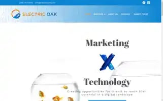 Electricoak.com Screenshot 2024-06-13 14:46:59