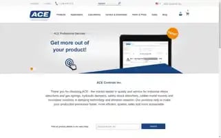 Acecontrols.com Screenshot 2024-06-14 17:14:20