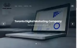 Mattkingdigital.com Screenshot 2024-06-17 02:53:40