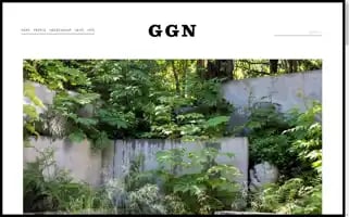 Ggnltd.com Screenshot 2024-07-03 12:06:33