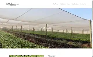 Babaroots.co.za Screenshot 2024-06-27 23:02:10