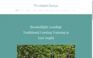 Brooksflightgundogs.com Screenshot 2024-04-15 14:24:48