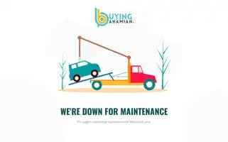Buyingbahamian.com Screenshot 2024-06-17 04:14:43