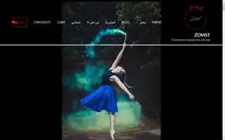 Zomst.com Screenshot 2024-05-17 01:50:52