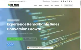 Seojames.com Screenshot 2024-06-14 00:42:07