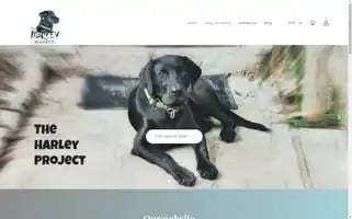 Theharleyproject.com Screenshot 2024-04-27 08:56:09