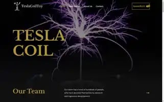Teslacoiltoy.com Screenshot 2024-05-26 16:22:00