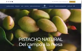 Grupopistacyl.com Screenshot 2024-07-04 22:28:16
