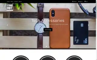 Standoutpromo.com Screenshot 2024-05-14 01:56:54