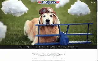 Topflightpups.com Screenshot 2024-04-25 13:33:56