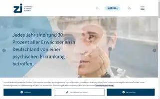 Zi-mannheim.de Screenshot 2024-07-03 16:25:21