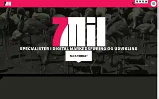 7mil.dk Screenshot 2024-06-15 19:36:45