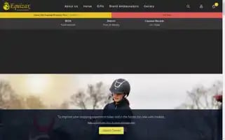 Equizax.com Screenshot 2024-05-20 19:00:34