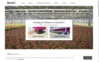 Queen.dk Screenshot 2024-06-16 01:15:43