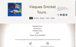 Viequessnorkeltours.com Screenshot 2024-04-17 10:49:47