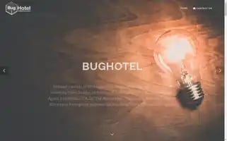 Bug-hotel.com Screenshot 2024-04-23 05:58:08