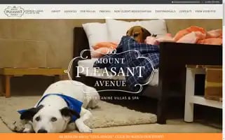 Mountpleasantavenue.com Screenshot 2024-07-07 01:34:19