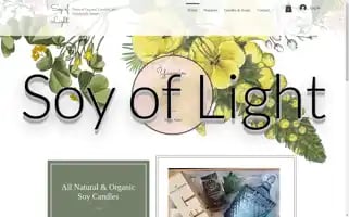 Soyoflight.com Screenshot 2024-04-25 23:38:54