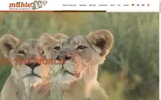 Muehle-travelconsult.de Screenshot 2024-04-25 22:54:12