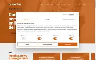 Calicant.us Screenshot 2024-06-28 05:40:57