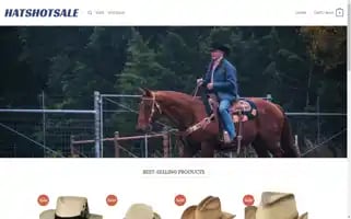 Hatshotsale.com Screenshot 2024-05-22 04:04:37