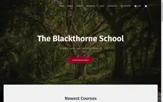 Theblackthorneschool.com Screenshot 2024-06-19 04:58:15