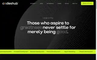 Codieshub.com Screenshot 2024-06-13 12:32:45