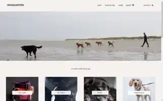 Hindquarters.com Screenshot 2024-05-05 03:25:20