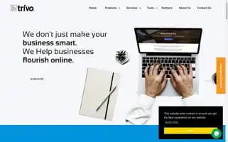 Trivo.in Screenshot 2024-06-16 23:32:52