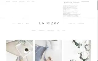 Ilarizky.com Screenshot 2024-06-26 15:04:30