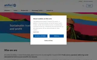 Amfori.org Screenshot 2024-06-14 03:52:13