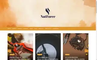 Natforce.org Screenshot 2024-07-02 16:36:15