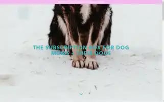 Dogmombox.com Screenshot 2024-05-05 13:53:30