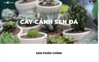 Caycanhsenda.com Screenshot 2024-05-21 16:43:36