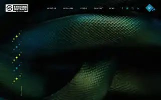 Sds.com Screenshot 2024-06-18 13:16:54
