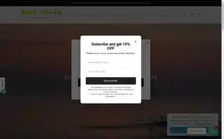 Surflisbonshop.com Screenshot 2024-07-01 16:37:20