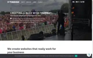 Tindish.com Screenshot 2024-06-19 05:22:39